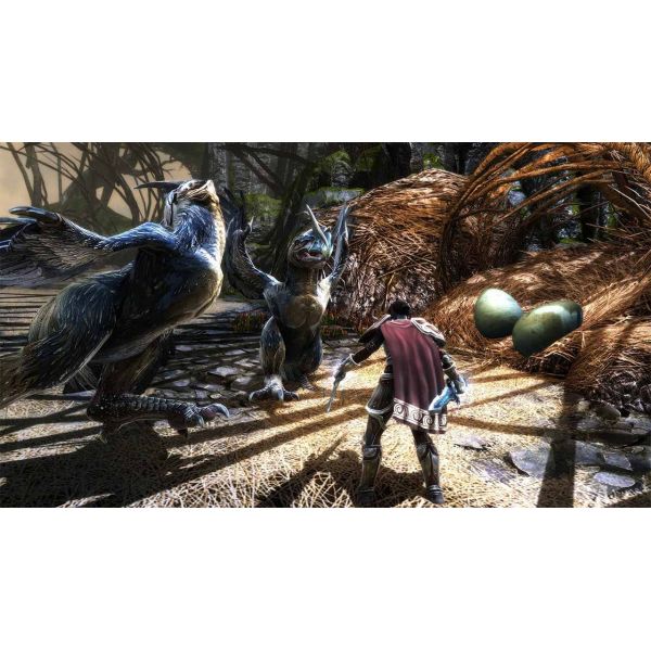 Гра Kingdoms of Amalur Re-Reckoning Nintendo Switch фото №4