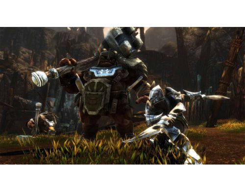 Гра Kingdoms of Amalur Re-Reckoning Nintendo Switch фото №5