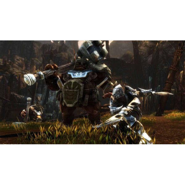 Гра Kingdoms of Amalur Re-Reckoning Nintendo Switch фото №5