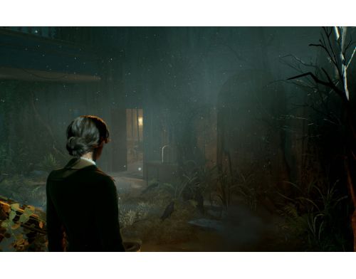 Игра Alone in the Dark PS5 фото №3
