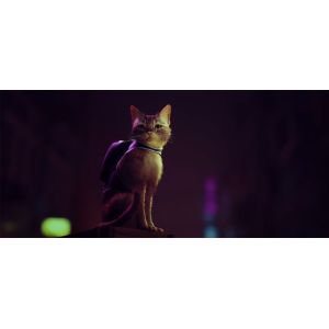 Игра Stray PS4