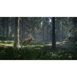 Игра The Hunter Call of the Wild PS4 Б.У.