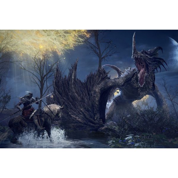 Игра Elden Ring Shadow of the Erdtree Collectors Edition PS5 фото №3