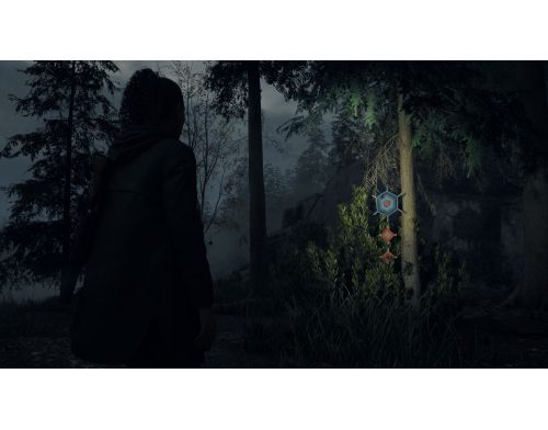 Игра для PS5 Alan Wake 2 Deluxe Edition PS5 (5056635609427) фото №6