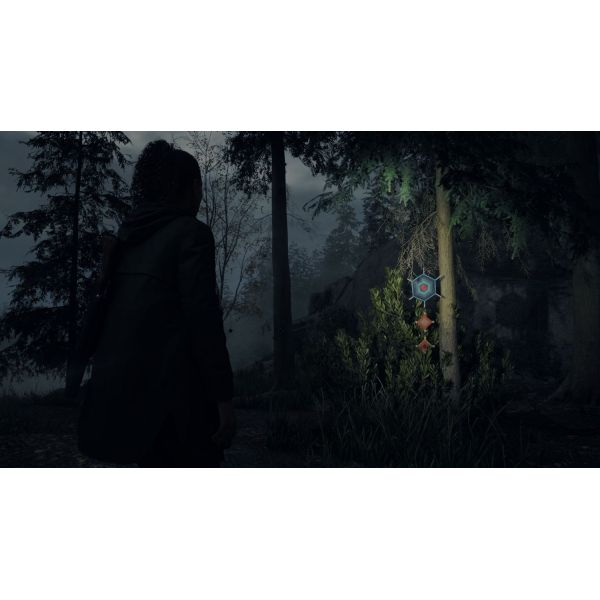 Игра для PS5 Alan Wake 2 Deluxe Edition PS5 (5056635609427) фото №6