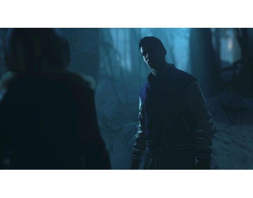 Игра Until Dawn PS4 английская версия Б.У. фото №2