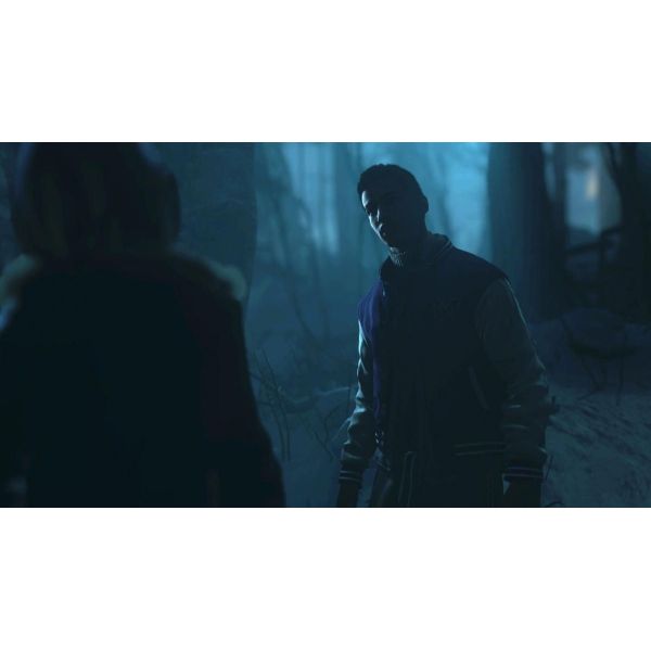 Игра Until Dawn PS4 английская версия Б.У. фото №2