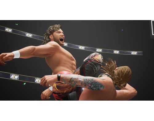 Игра AEW Fight Forever Nintendo Switch фото №5