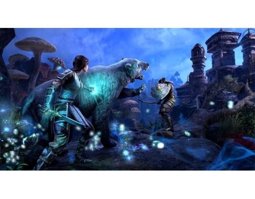 Игра The Elder Scrolls Online PS4 Английская версия Б.У. фото №4