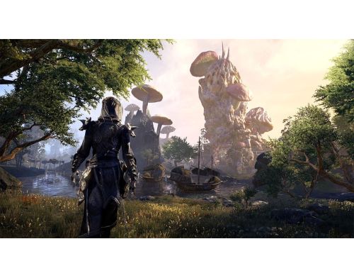 Игра The Elder Scrolls Online PS4 Английская версия Б.У. фото №5