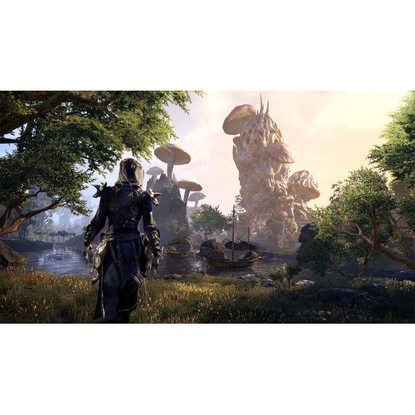 Игра The Elder Scrolls Online PS4 Английская версия Б.У. фото №5