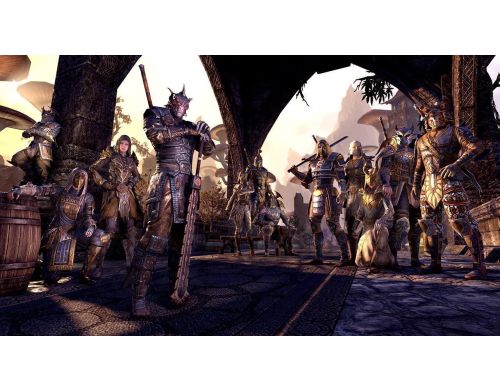 Игра The Elder Scrolls Online PS4 Английская версия Б.У. фото №6