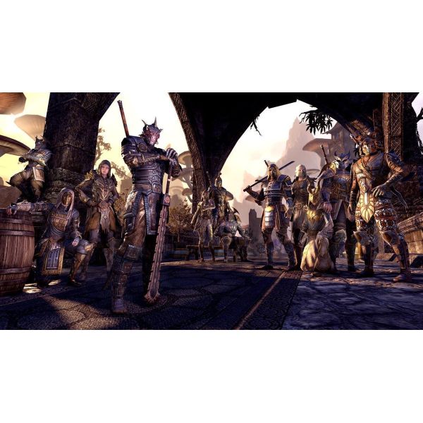 Игра The Elder Scrolls Online PS4 Английская версия Б.У. фото №6