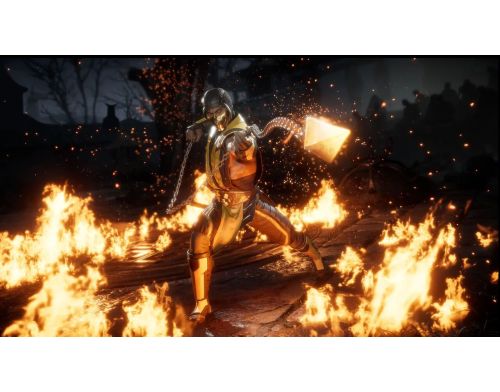 Игра Mortal Kombat 11 Steelbook Edition PS4 Б.У. фото №3