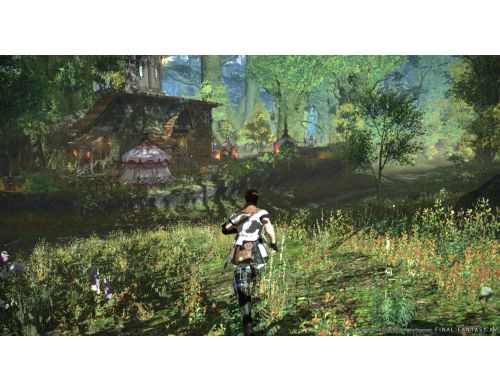 Игра Final Fantasy XIV A Realm Reborn Online PS4 Английская версия Б.У. фото №6