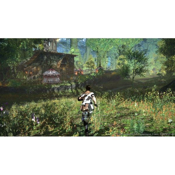 Игра Final Fantasy XIV A Realm Reborn Online PS4 Английская версия Б.У. фото №6