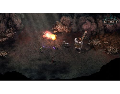 Игра Pillars of Eternity Complete Edition  PS4 Русские субтитры Б.У. фото №4