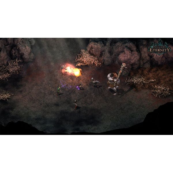 Игра Pillars of Eternity Complete Edition  PS4 Русские субтитры Б.У. фото №4