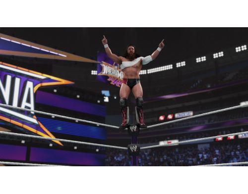 Игра WWE 2K19 PS4 Английская версия Б.У. фото №3