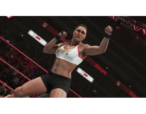 Игра WWE 2K19 PS4 Английская версия Б.У. фото №4