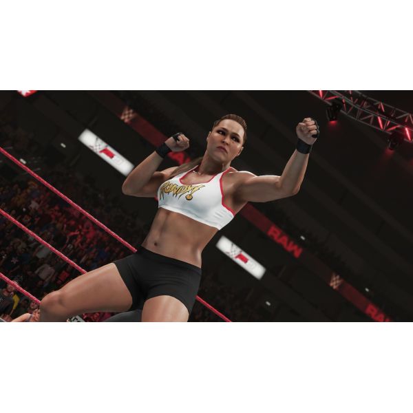 Игра WWE 2K19 PS4 Английская версия Б.У. фото №4
