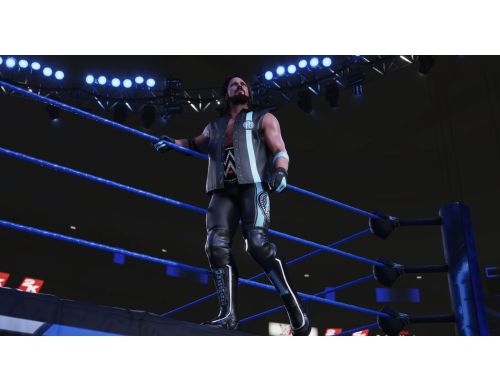 Игра WWE 2K19 PS4 Английская версия Б.У. фото №5