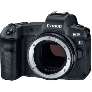 Адаптер для объектива Canon EF-EOS R Control Ring Mount (2972C005)