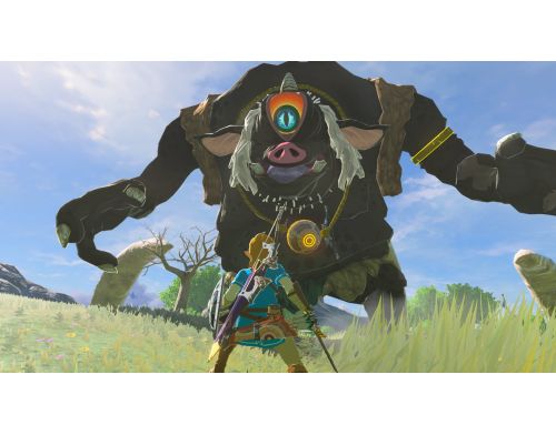 Игра The Legend of Zelda: Breath of the Wild Nintendo Switch 2 фото №5