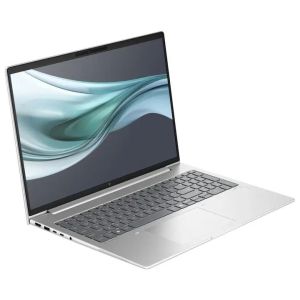 Ноутбук HP EliteBook 665 G11 Silver (8Z714AV)