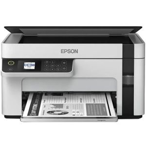 МФУ EPSON M2120