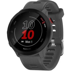 Смарт-часы Forerunner 55 Monterra Grey (010-02562-13)