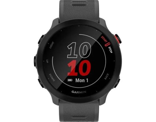 Смарт-часы Forerunner 55 Monterra Grey (010-02562-13) фото №2
