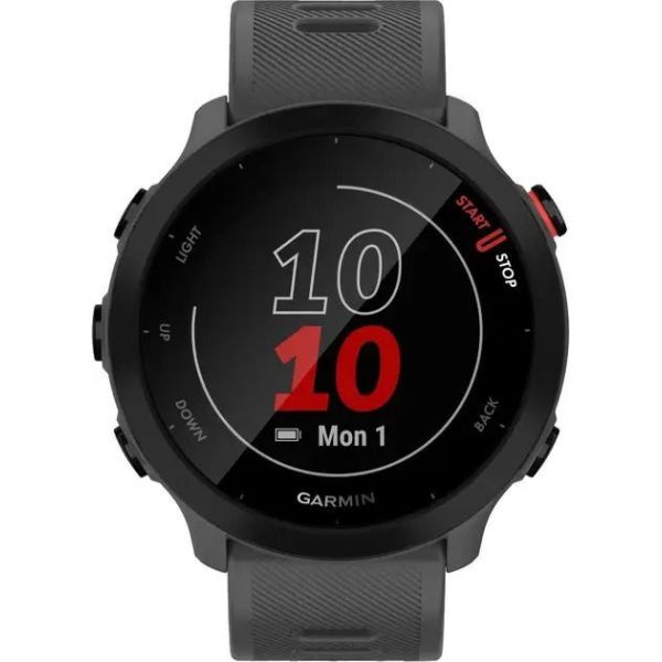 Смарт-часы Forerunner 55 Monterra Grey (010-02562-13) фото №2