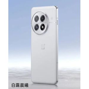 Смартфон OnePlus 13 16/512GB Arctic Dawn