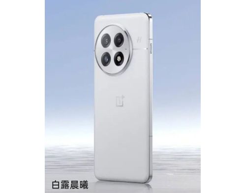 Смартфон OnePlus 13 16/512GB Arctic Dawn фото №2