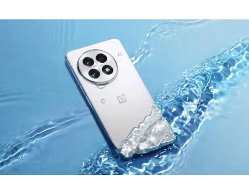 Смартфон OnePlus 13 16/512GB Arctic Dawn фото №3