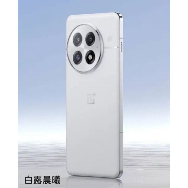 Смартфон OnePlus 13 16/512GB Arctic Dawn CN (no OTA) [123413] фото №2