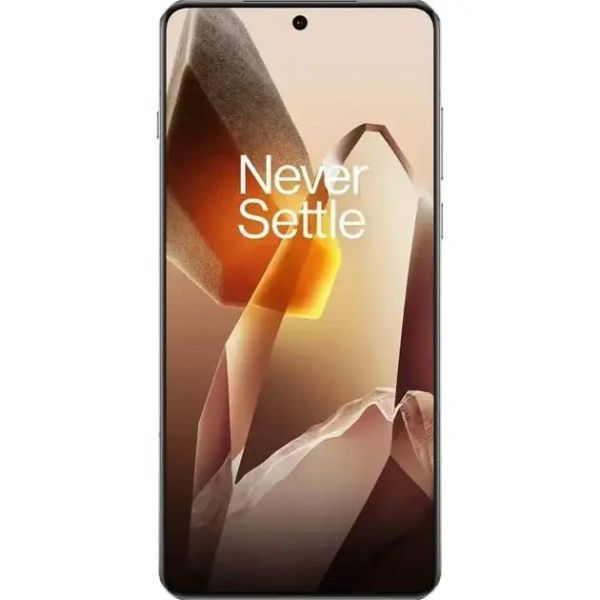 Смартфон OnePlus 13 24/1TB Arctic Dawn CN фото №2