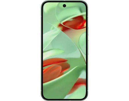 Смартфон Google Pixel 9 12/128GB Wintergreen фото №3