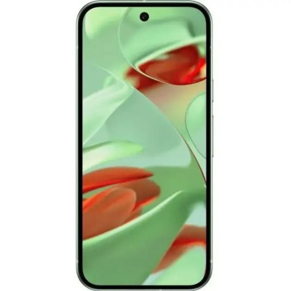 Смартфон Google Pixel 9 12/256GB Wintergreen фото №2