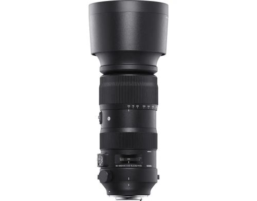Объектив Sigma AF 60-600mm f/4,5-6,3 DG OS HSM sport (Nikon) фото №2