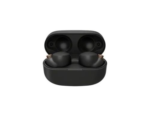 Наушники Sony WF-1000XM4 Black (WF1000XM4B.CE7) фото №2