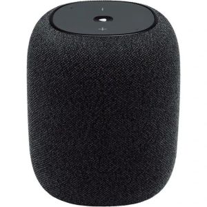 Акустика JBL Link Music Black (JBLLINKMUSICBLK)