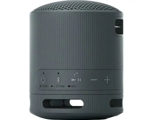 Портативная колонка Sony SRS-XB100 Black (SRSXB100B) фото №3