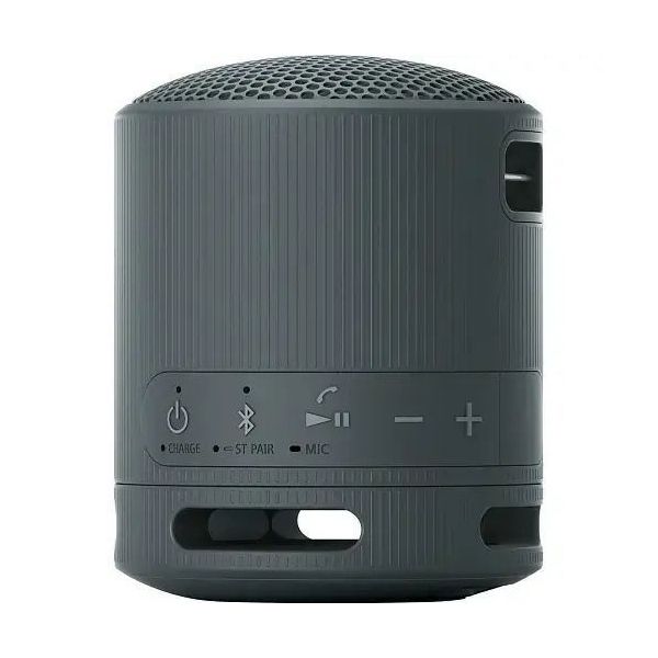 Портативная колонка Sony SRS-XB100 Black (SRSXB100B) фото №3
