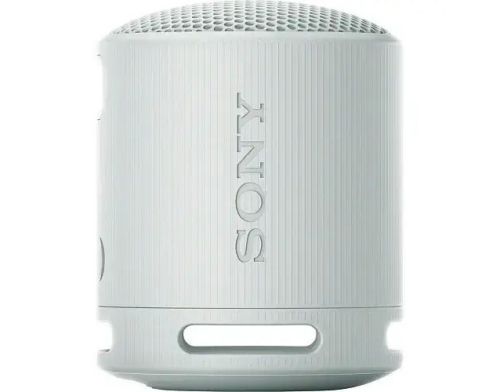Портативная колонка Sony SRS-XB100 Grey (SRSXB100H.CE7) фото №2