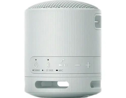 Портативная колонка Sony SRS-XB100 Grey (SRSXB100H.CE7) фото №3