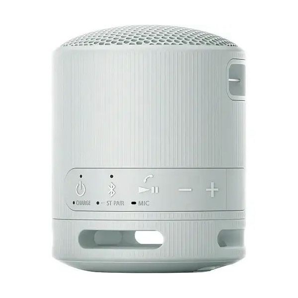 Портативная колонка Sony SRS-XB100 Grey (SRSXB100H.CE7) фото №3