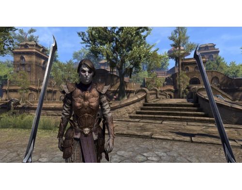 Игра The Elder Scrolls  Online Morrowind Steelbook edition PS4 Б.У. фото №3