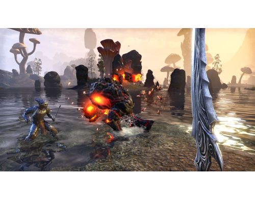 Игра The Elder Scrolls  Online Morrowind Steelbook edition PS4 Б.У. фото №6